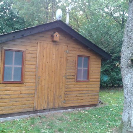 Chalet Imme Villa Resteigne Buitenkant foto